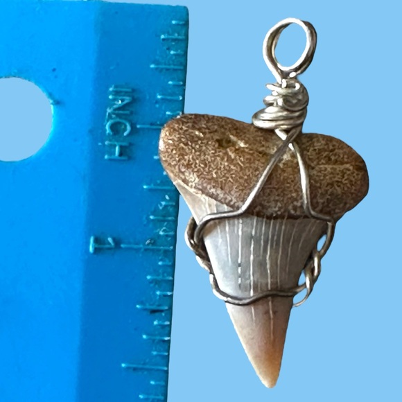 Great White Shark’s Tooth in .925 silver - Picture 6 of 6